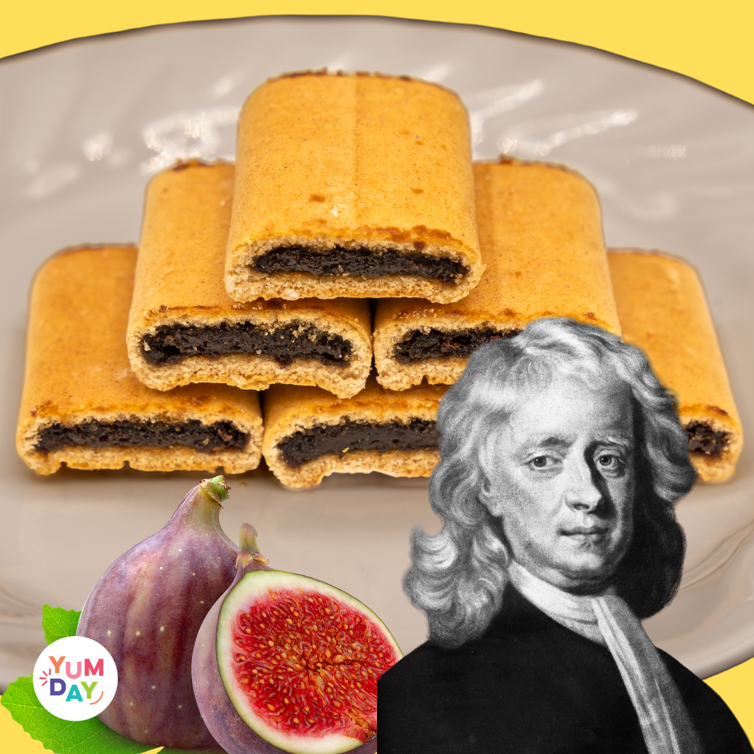 january-16-national-fig-newton-day-yumday