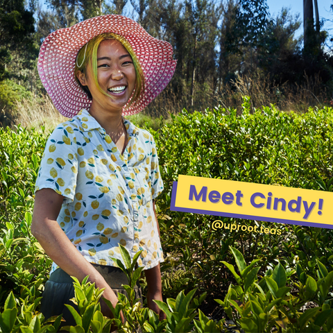 Meet Cindy Li, Founder of Uproot Teas
